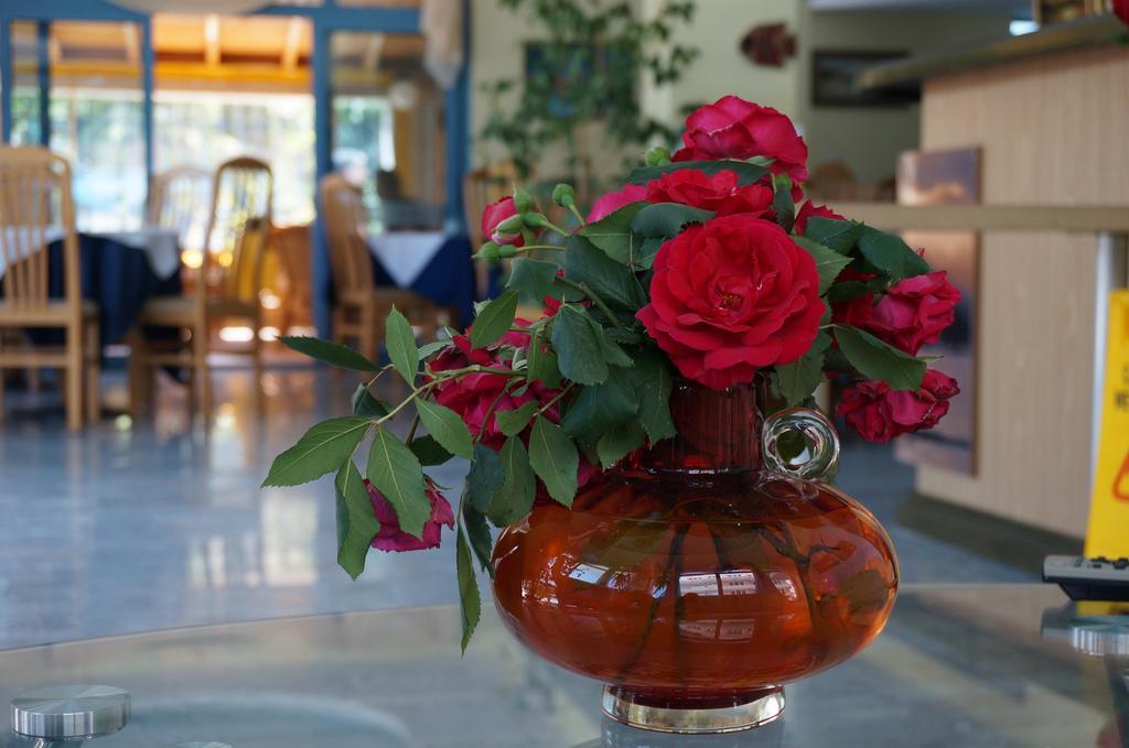 Bora Bora Hotel Sunny Beach Dış mekan fotoğraf